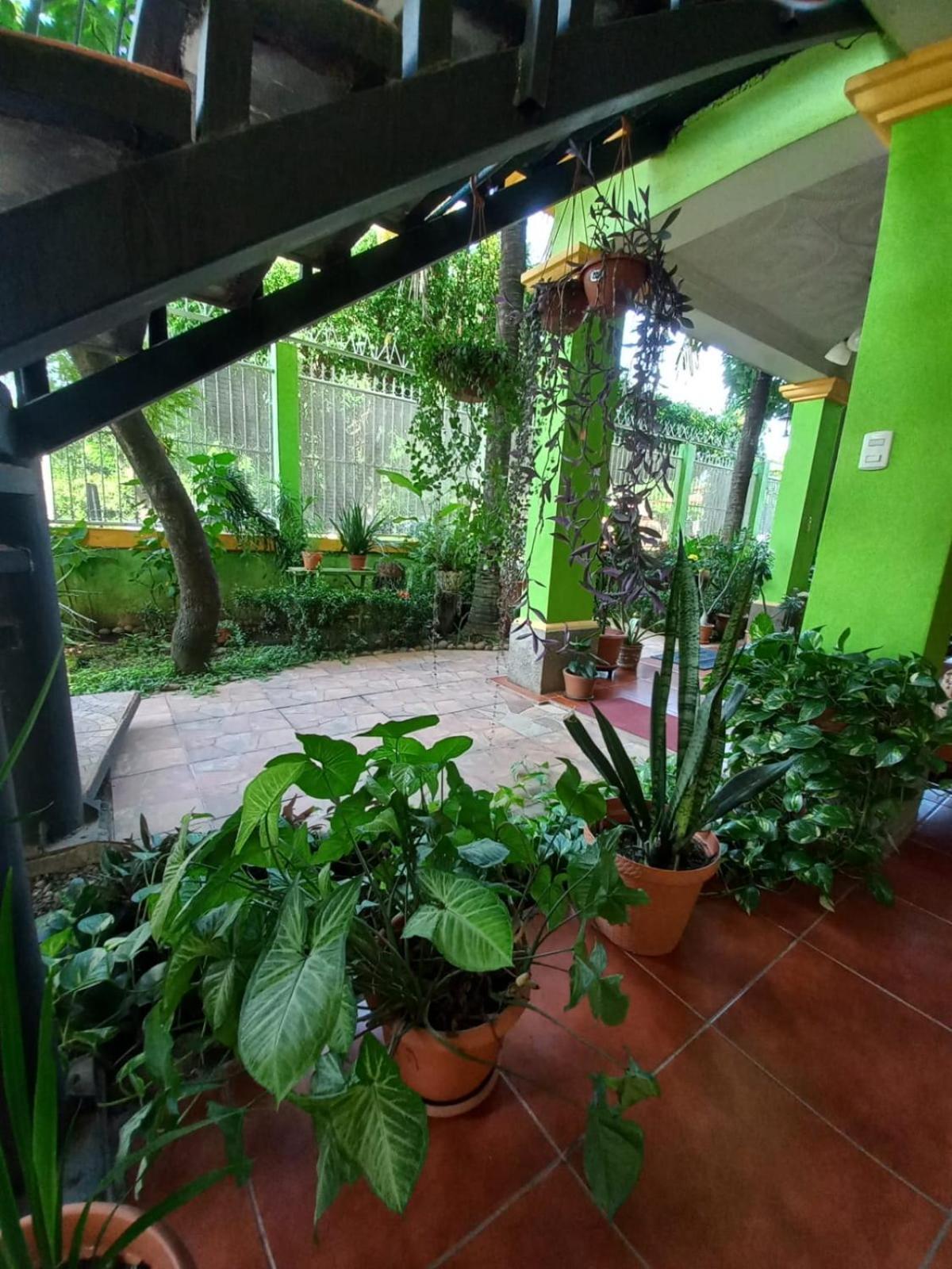 Hostal San Antonio León エクステリア 写真