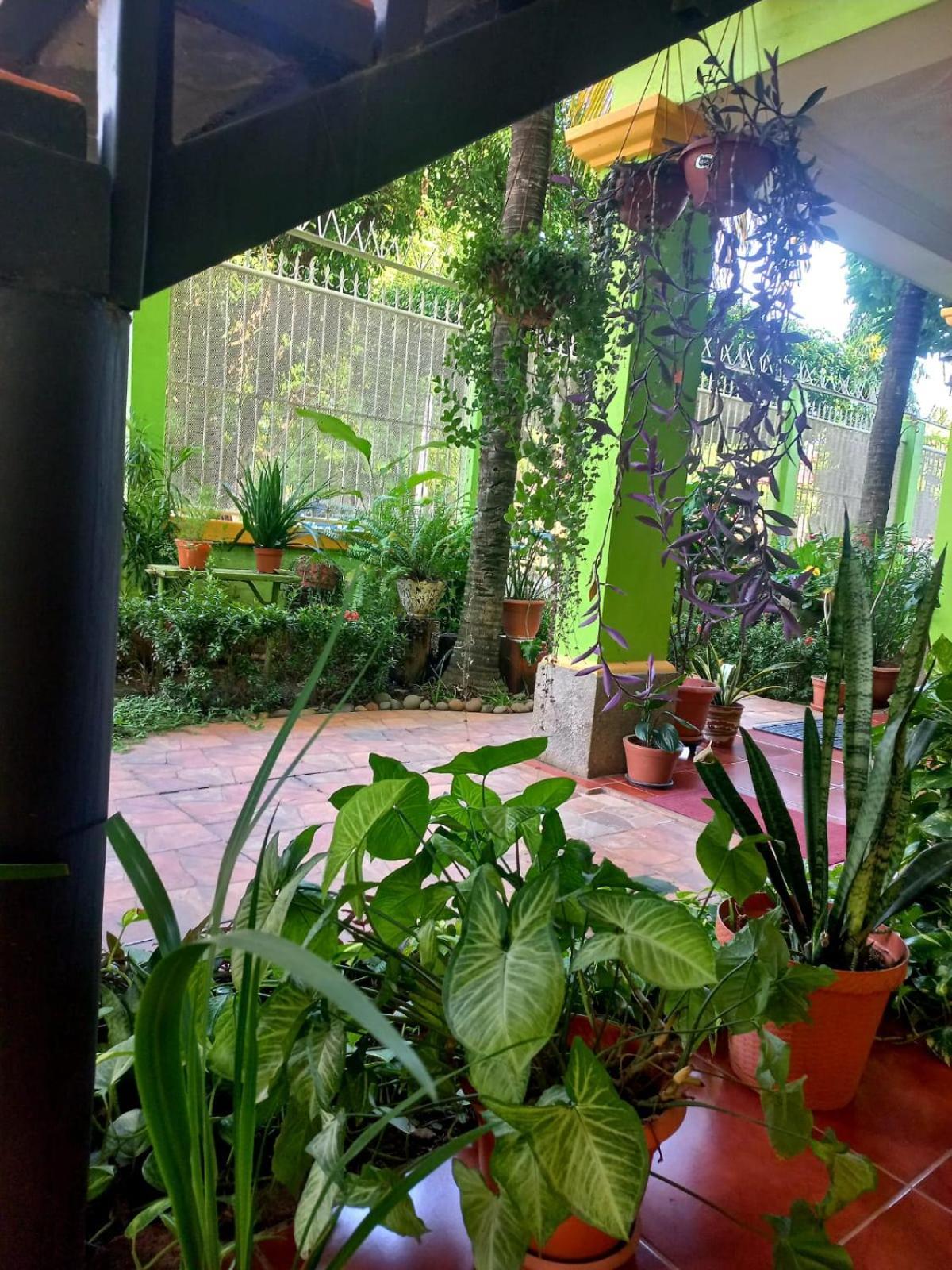 Hostal San Antonio León エクステリア 写真